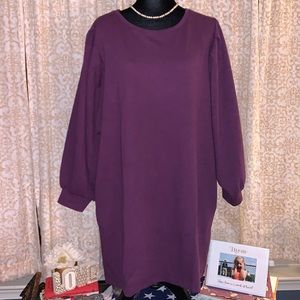 Nwt Scoop Size L Violet Long Sleeve Pocketed Dress